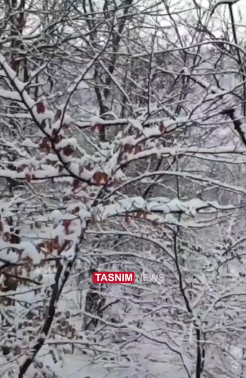 چهره برفی و زیبای پارک ملی گلستان