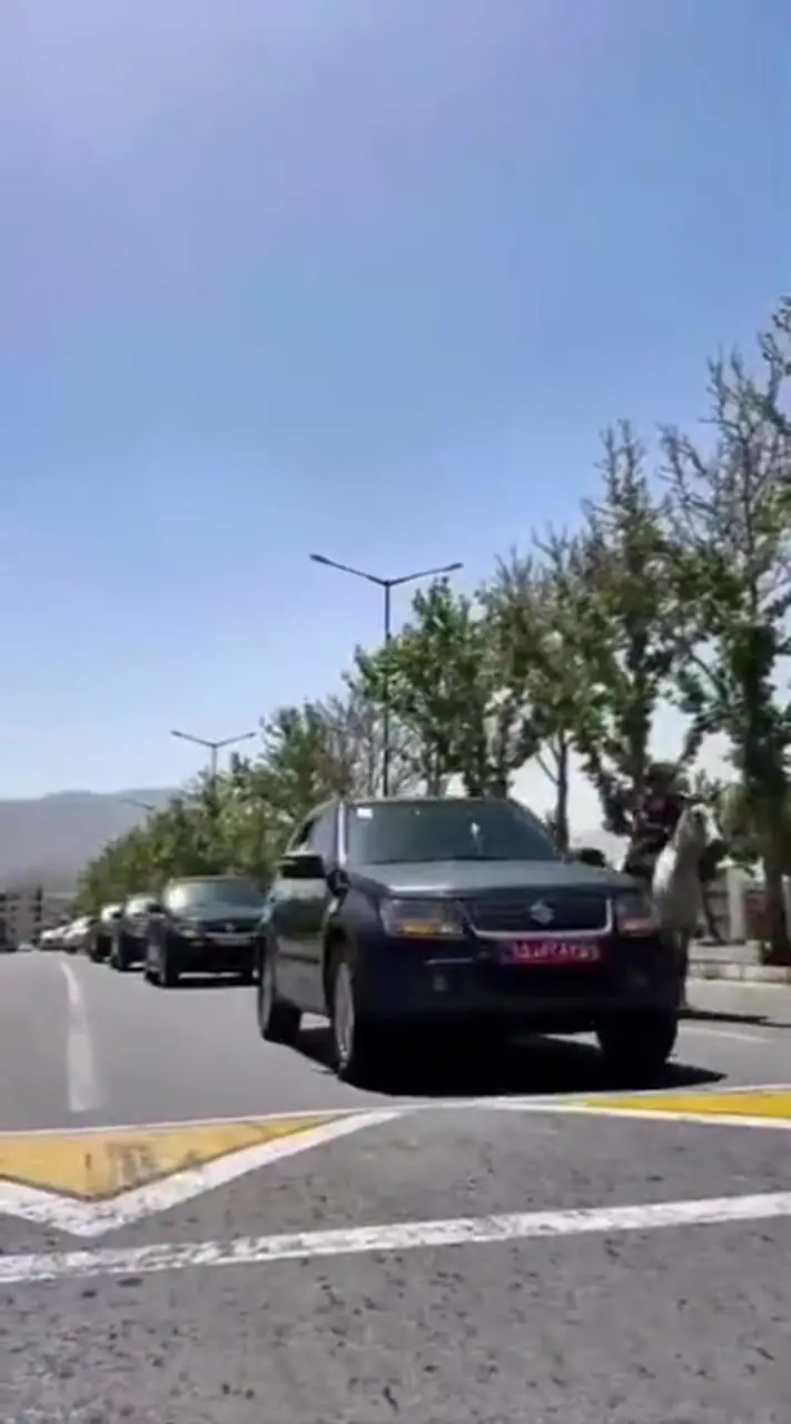 استقبال زنان زیبای اسب سوار از مهمان خارجی در کردستان!