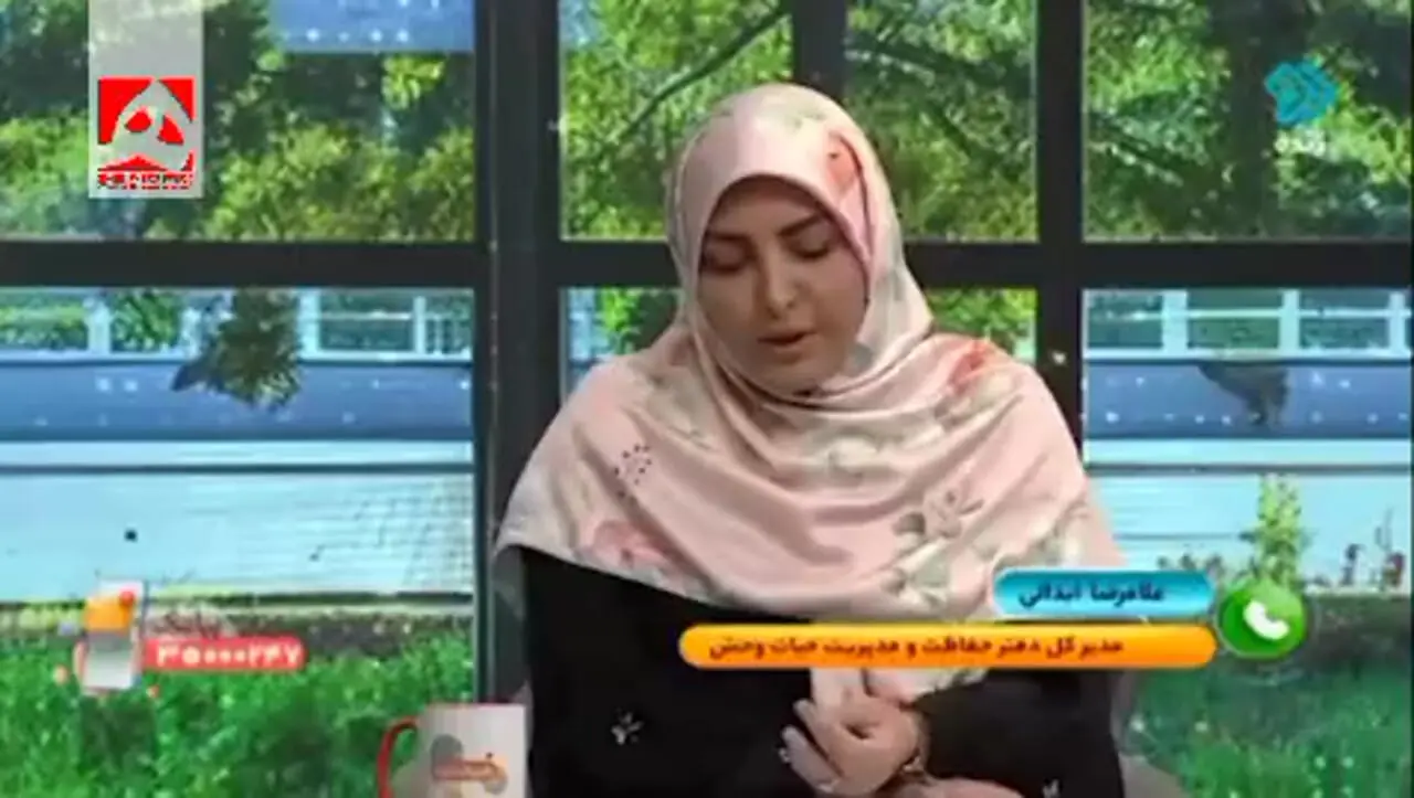 بگومگوی المیراشریفی مقدم با یک مسئول
