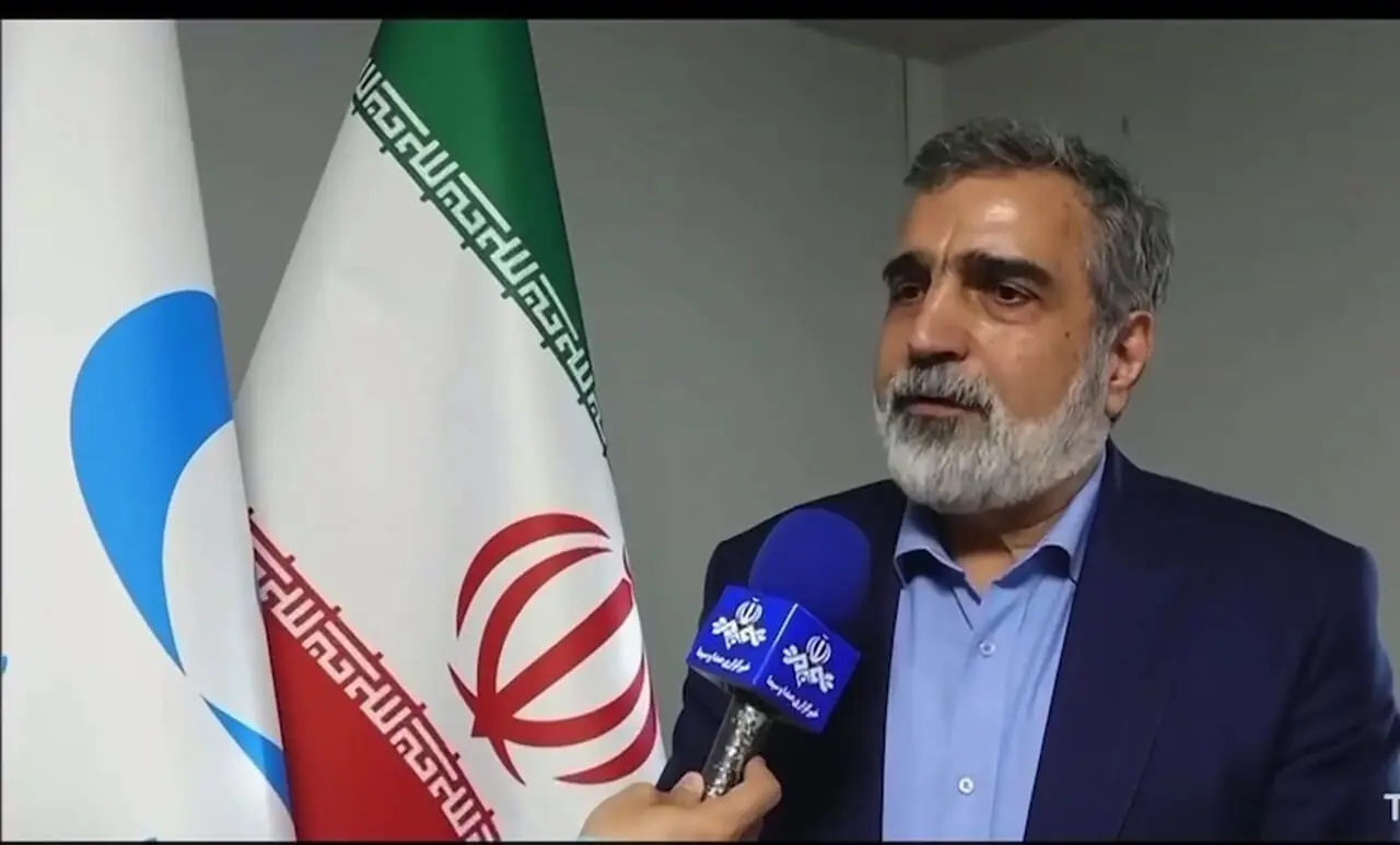 صنعت هسته‌ای متوقف نخواهد شد