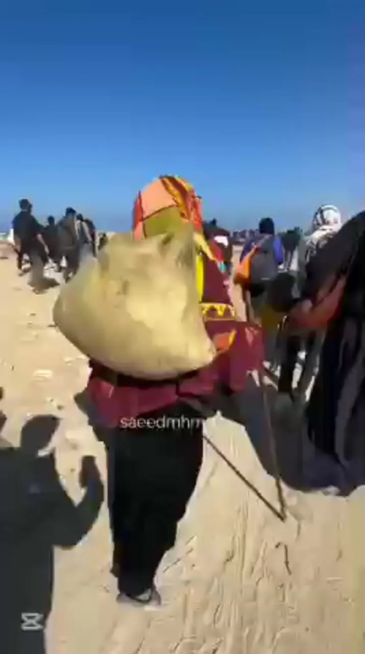 بازگشت آوارگان فلسطینی به شهر غزه