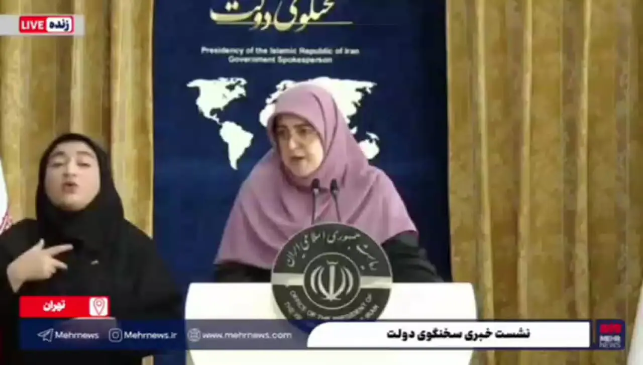 روایت سخنگوی دولت از کوچک‌سازی دولت