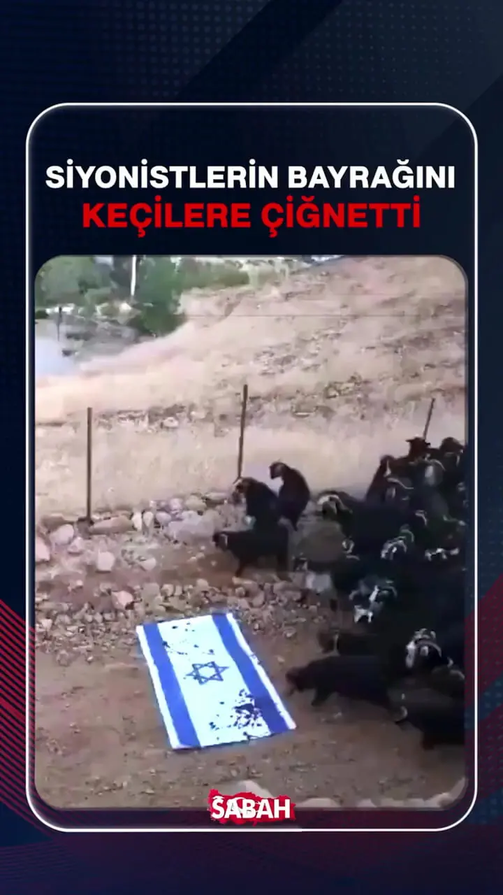 پرچم اسرائیل توسط گوسفندان لگدمال شد!