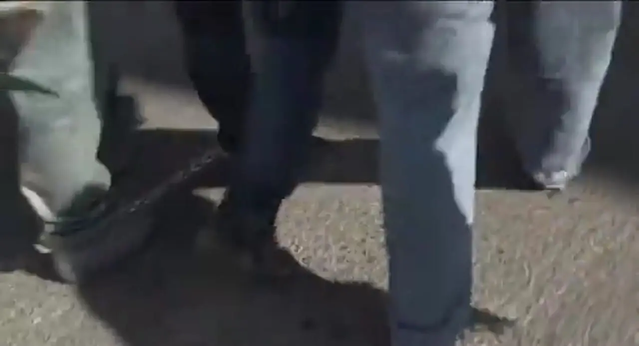 لحظه چاقو زدن موادفروشان به دانشجویان سوهانک و تیر خوردن از پلیس