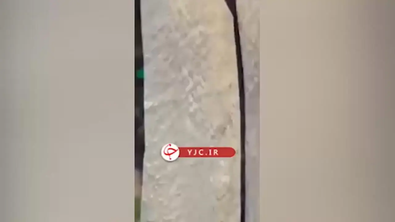 لحظه چاقو در آوردن راننده اتوبوس شهری در تهران برای مسافر