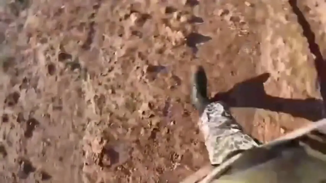 گوشه هایی از اقتدار هوابرد نیروی زمینی ارتش