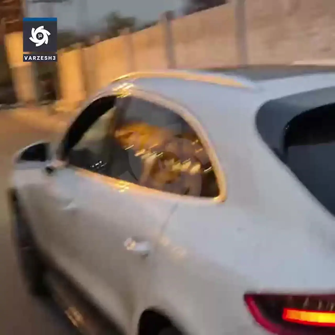 واکنش رامین رضاییان به شایعه درگیری با ساپینتو