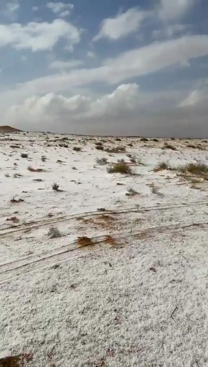 شمال عربستان سعودی سفیدپوش شد