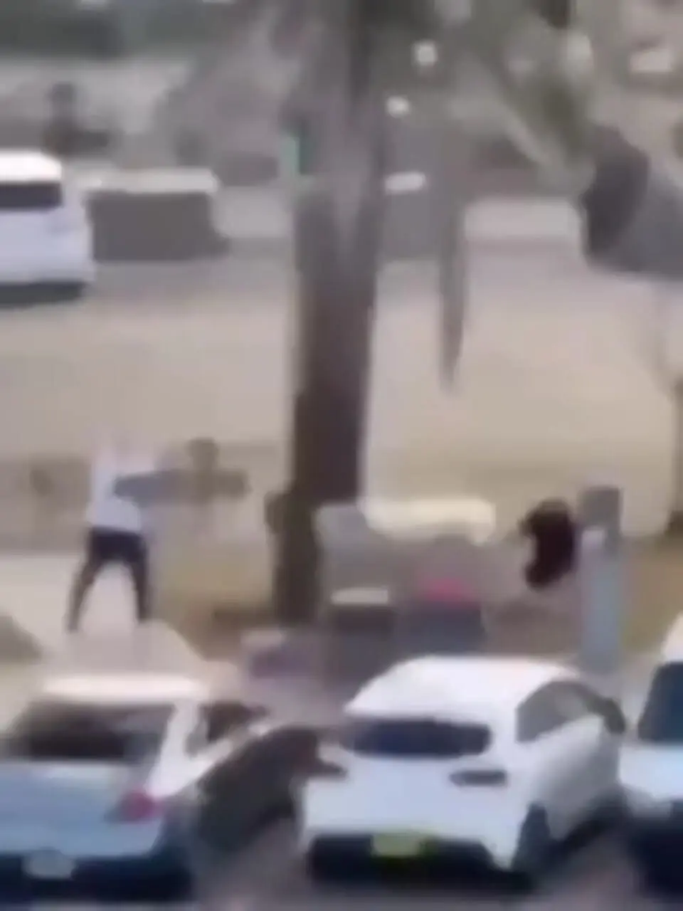 فیلم مسلمانی که جان دهها یهودی را در حمله سیدنی نجات داد