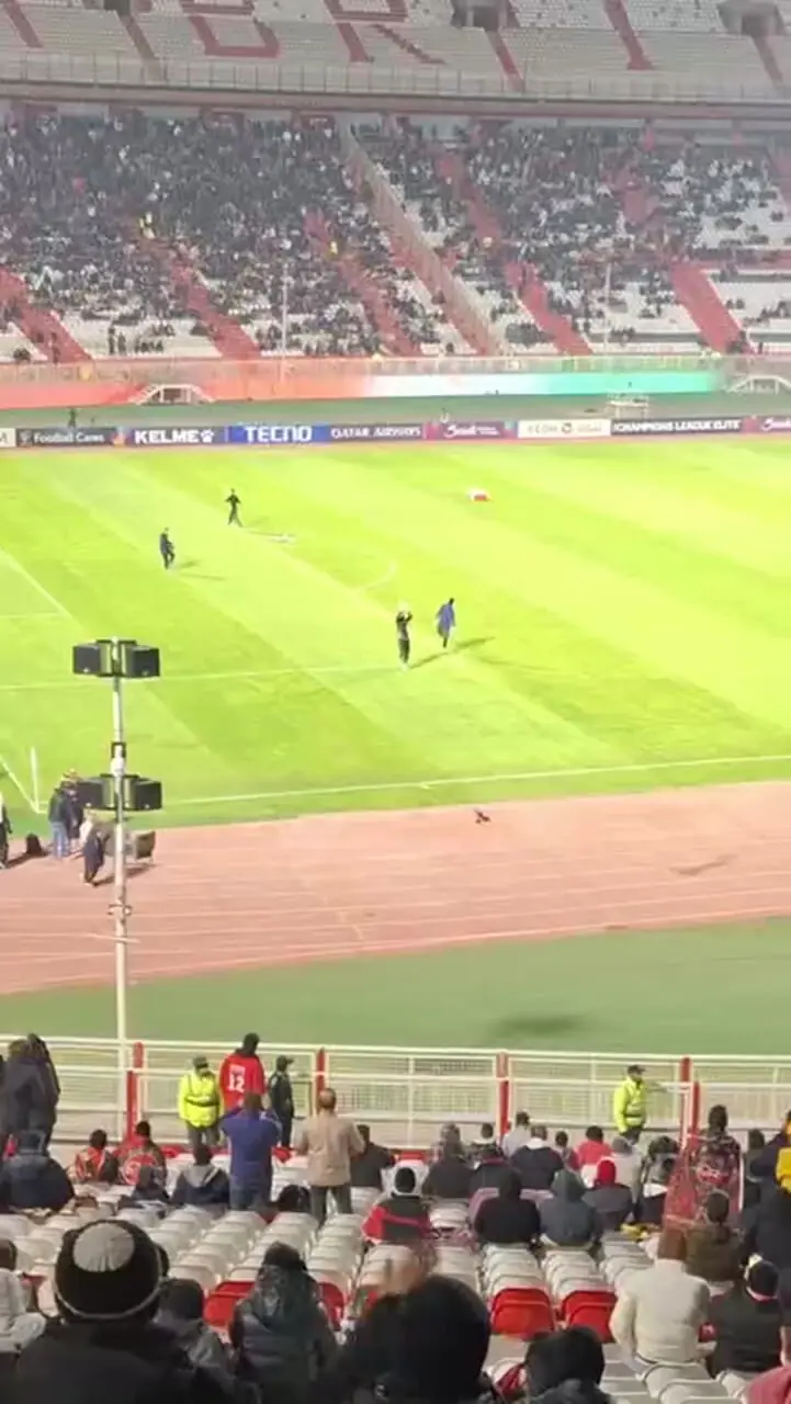 استقبال بی‌نظیر تبریزی‌ها از علیرضا بیرانوند