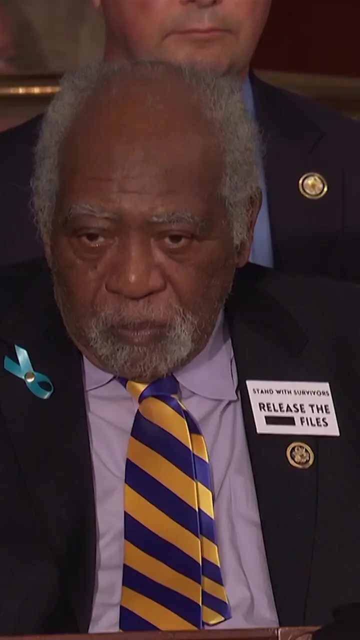 ماجرای نشان‌های روی سینه دموکرات‌ها هنگام سخنرانی ترامپ